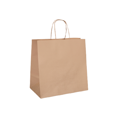 Eco Natural Kraft Paper Bag - Twisted Handle - Medium