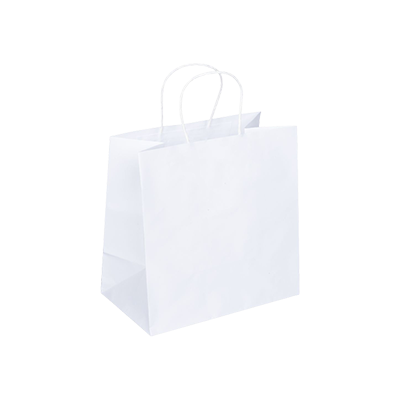 Eco White Kraft Paper Bag - Twisted Handle - Medium