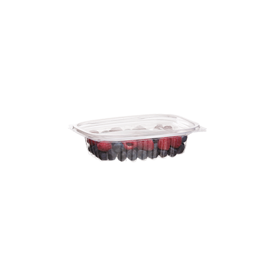 Compostable Deli Container with Lid - Rectangle 8 oz | 240 ml